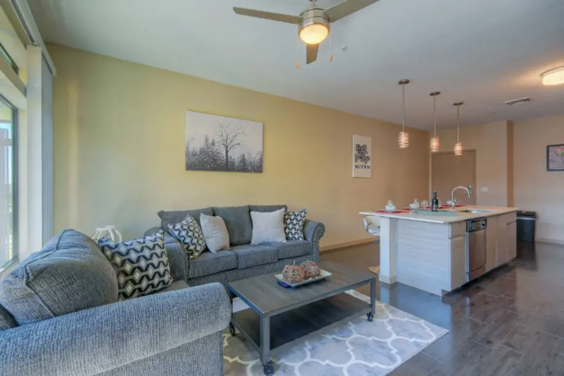 Furnished living room